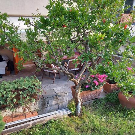 Στουντιο Κοντά Στην Κλινική Αγ Λουκα Tesalónica Exterior foto